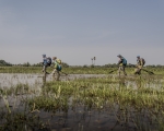 ARWM2015-Brasilien-Erik Putsep-0901 - SILVA