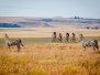 Expedition Africa 2013